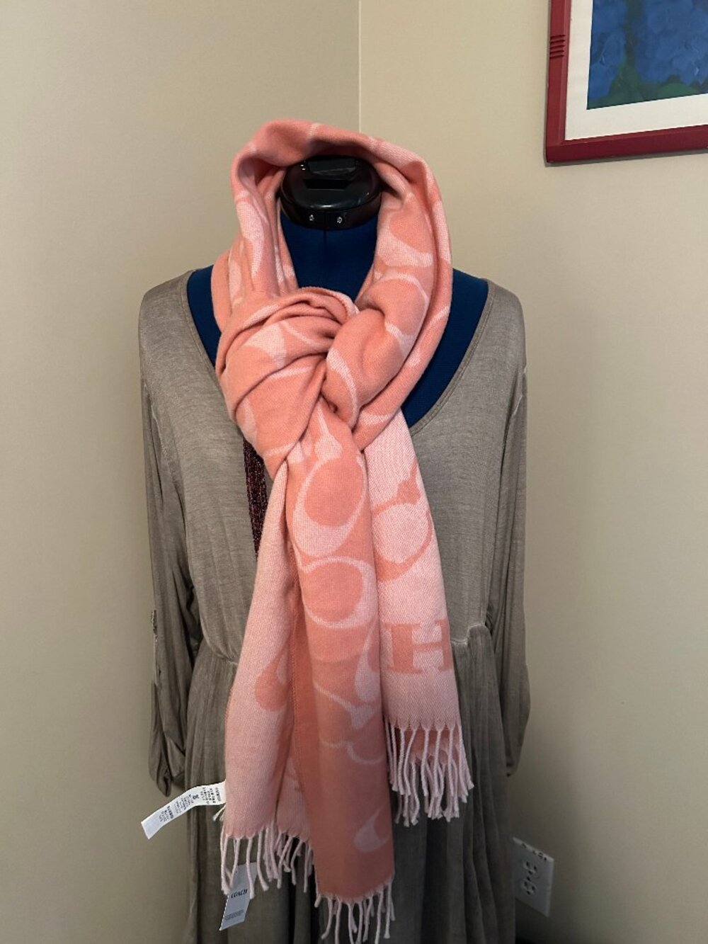 Coach Candy Pink winter scarf